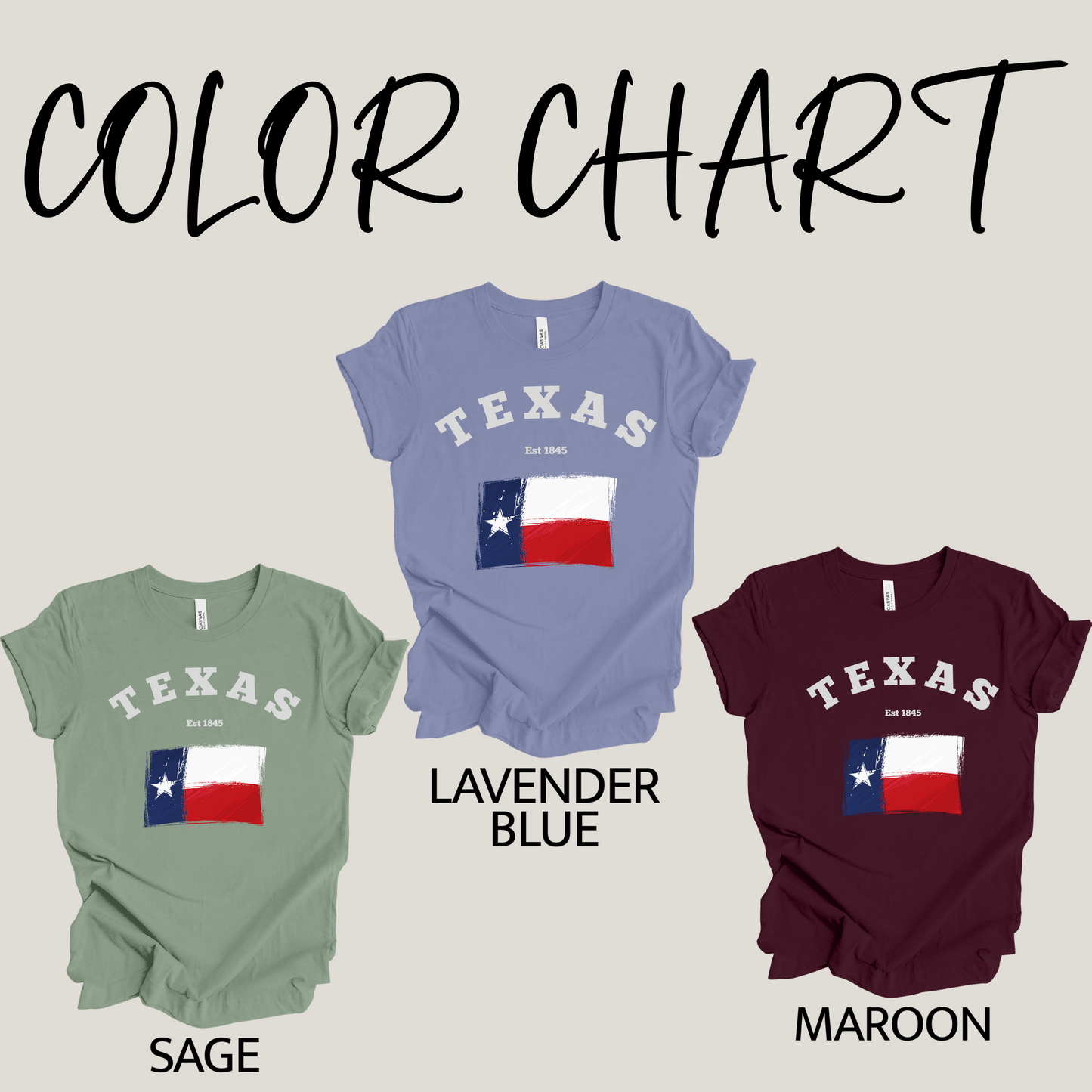 Texas Flag Est 1845 T-Shirt